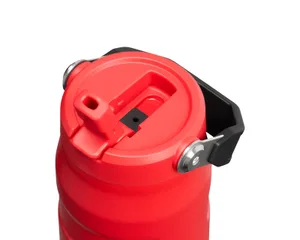 Stanley Termos The IceFlow Bottle Flip Straw 2.0 0.70L