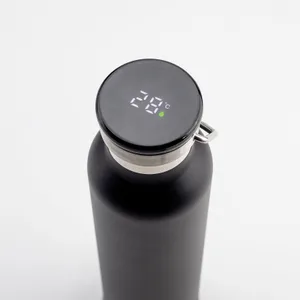 650 ML Derece ve Hoparlörlü Termos