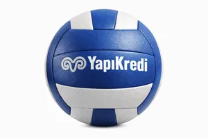Voleybol Topu