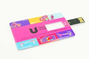 Klasik Döner Plastik Kart USB Flash Bellek ED021
